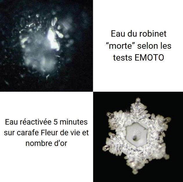 L'eau du robinet ou en bouteille est-elle informée?